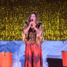 Daniela Mercury BrazilFoundation VII Gala Miami Tropical Carnival Ball Florida Philanthropy Filantropia