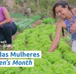 Womens Month Mes das mulheres BrazilFoundation