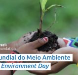 world environment day dia mundial do meio ambiente brazilfoundation