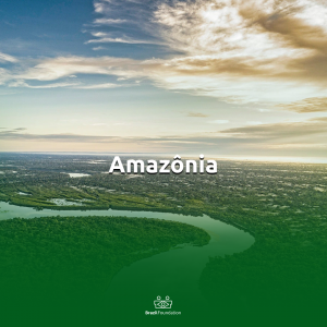 Amazonia Luz Alliance BrazilFoundation