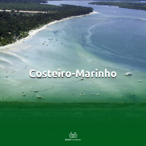 Costeiro-Marinho Luz Alliance BrazilFoundation